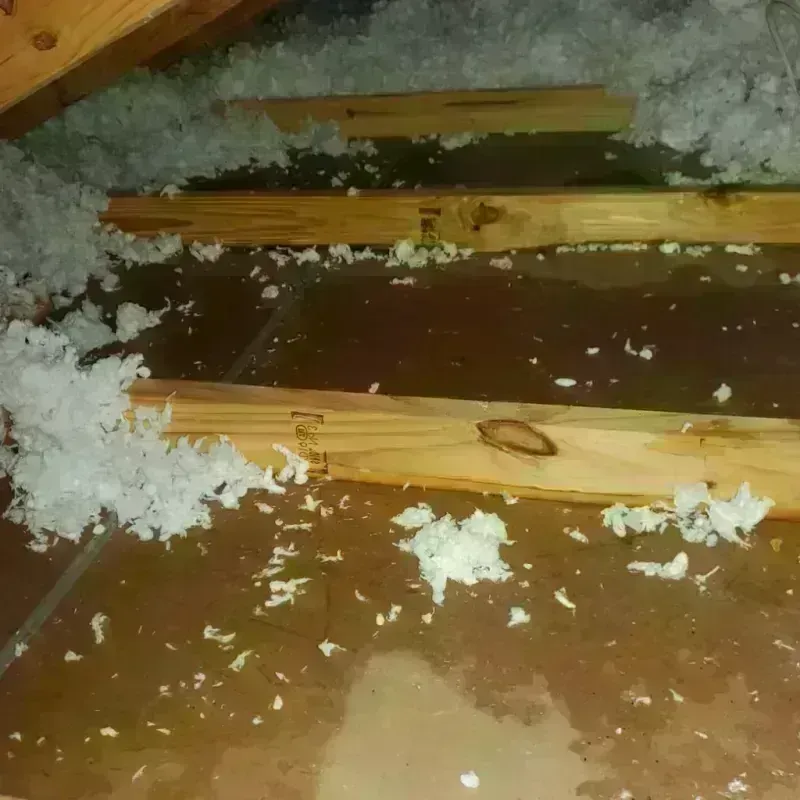 Attic Water Damage in Bridgeport, CA