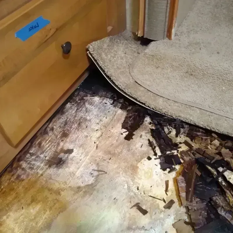 Wood Floor Water Damage in Bridgeport, CA